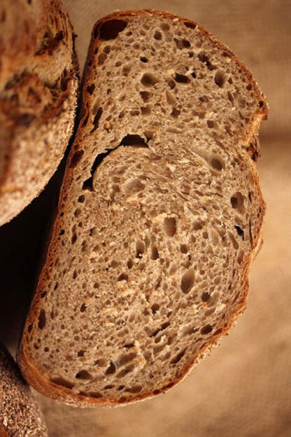 Champagnerroggen Korn (2,5kg)-772