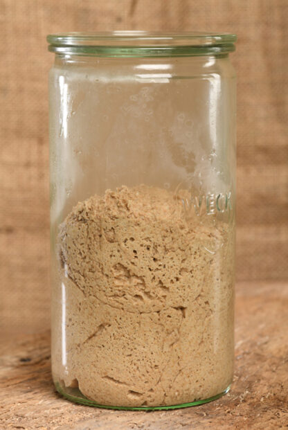Champagnerroggen-Starter (70g)-138