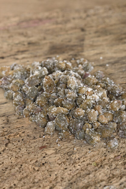 Kapern aus Pantelleria (100g)-363