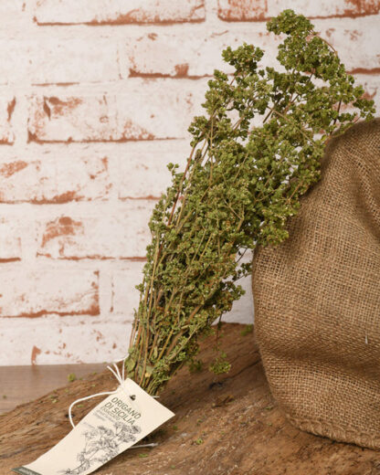 Wilder sizilianischer Oregano (35g)-0