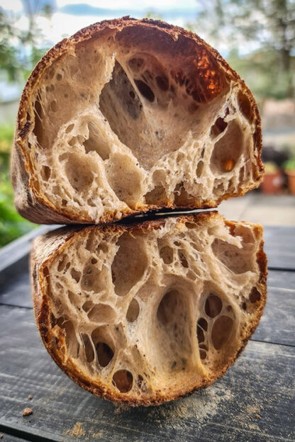 Wholemeal Manitobo (2,5kg)-751